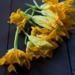 StuffedSquashBlossomsLogo-1